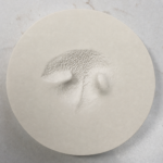 clay nose print
